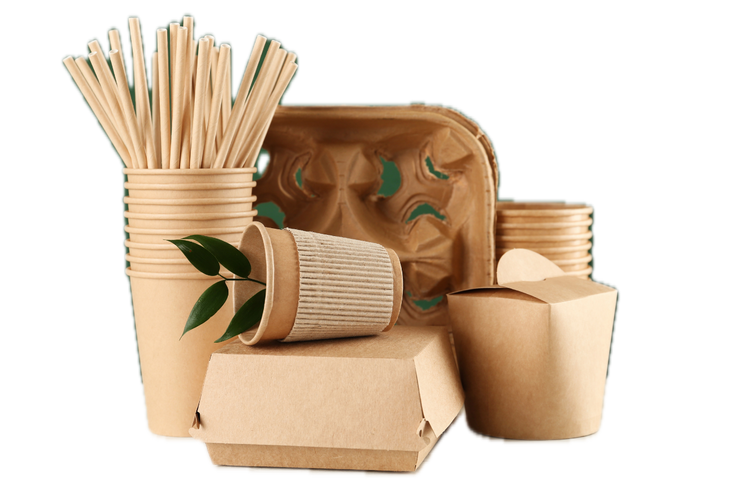 Eco-Friendly Food Packaging